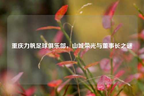 重庆力帆足球俱乐部，山城荣光与董事长之谜
