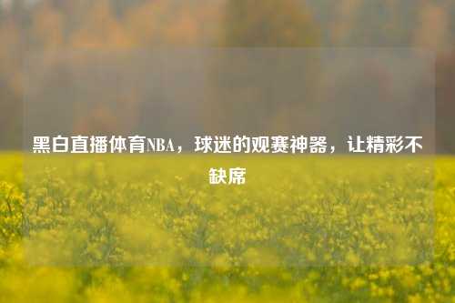 黑白直播体育NBA，球迷的观赛神器，让精彩不缺席