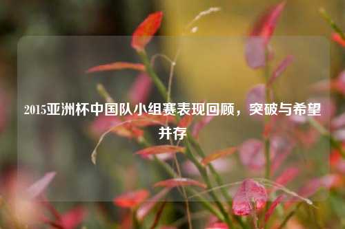 2015亚洲杯中国队小组赛表现回顾，突破与希望并存