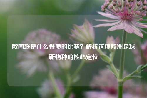 欧国联是什么性质的比赛？解析这项欧洲足球新物种的核心定位