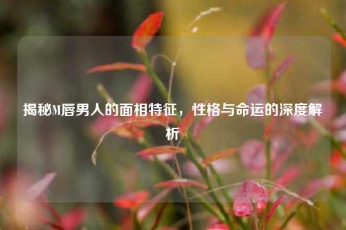 揭秘M唇男人的面相特征，性格与命运的深度解析
