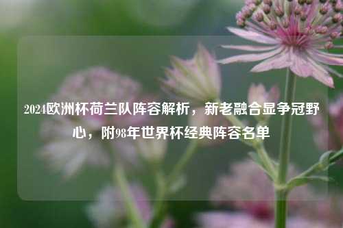 2024欧洲杯荷兰队阵容解析，新老融合显争冠野心，附98年世界杯经典阵容名单
