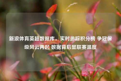 新浪体育英超数据库，实时追踪积分榜 争冠保级风云再起 数据背后显联赛温度