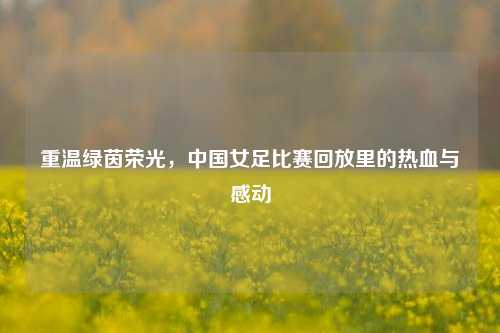 重温绿茵荣光，中国女足比赛回放里的热血与感动