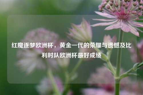 红魔逐梦欧洲杯，黄金一代的荣耀与遗憾及比利时队欧洲杯更好成绩