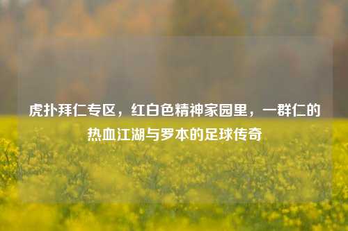 虎扑拜仁专区，红白色精神家园里，一群仁的热血江湖与罗本的足球传奇