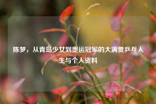陈梦，从青岛少女到奥运冠军的大满贯乒乓人生与个人资料