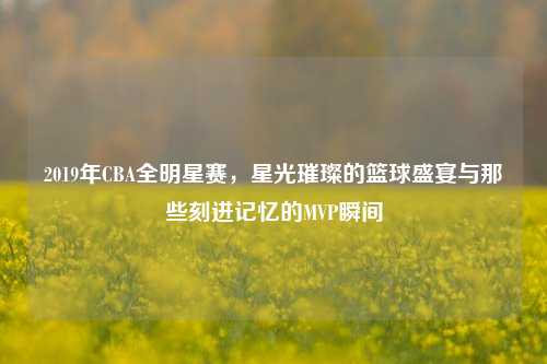 2019年CBA全明星赛，星光璀璨的篮球盛宴与那些刻进记忆的MVP瞬间