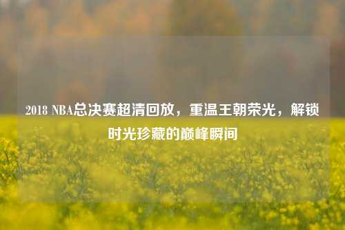 2018 NBA总决赛超清回放，重温王朝荣光，解锁时光珍藏的巅峰瞬间