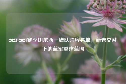 2023-2024赛季切尔西一线队阵容名单，新老交替下的蓝军重建蓝图