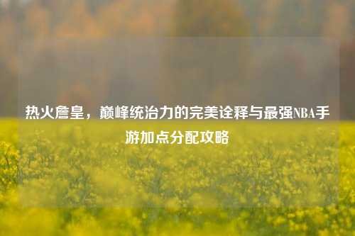热火詹皇，巅峰统治力的完美诠释与最强NBA手游加点分配攻略