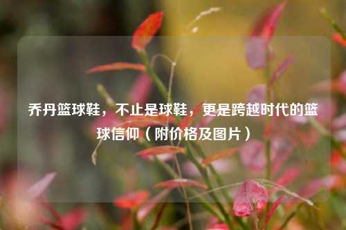 乔丹篮球鞋，不止是球鞋，更是跨越时代的篮球信仰（附价格及图片）