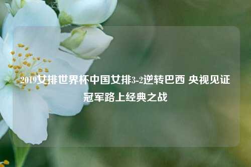 2019女排世界杯中国女排3-2逆转巴西 央视见证冠军路上经典之战