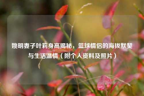 姚明妻子叶莉身高揭秘，篮球情侣的海拔默契与生活温情（附个人资料及照片）