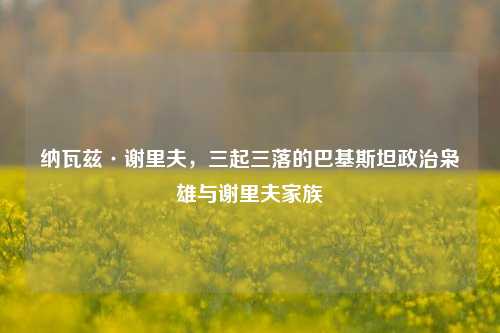 纳瓦兹·谢里夫，三起三落的巴基斯坦政治枭雄与谢里夫家族