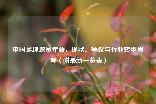 中国足球球员年薪，现状、争议与行业转型思考（附最新一览表）