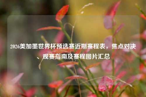 2026美加墨世界杯预选赛近期赛程表，焦点对决、观赛指南及赛程图片汇总