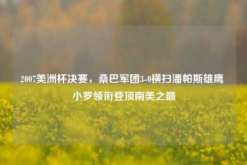 2007美洲杯决赛，桑巴军团3-0横扫潘帕斯雄鹰 小罗领衔登顶南美之巅