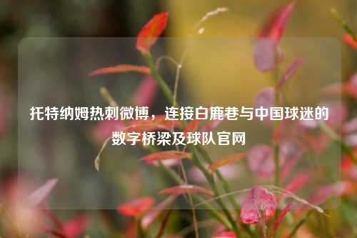 托特纳姆热刺微博，连接白鹿巷与中国球迷的数字桥梁及球队官网