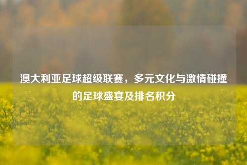澳大利亚足球超级联赛，多元文化与     碰撞的足球盛宴及排名积分