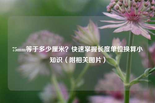 75mm等于多少厘米？快速掌握长度单位换算小知识（附相关图片）