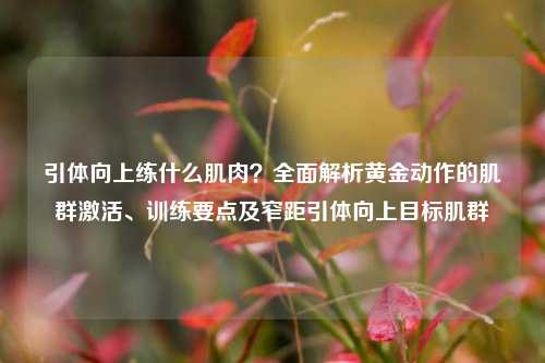 引体向上练什么肌肉？全面解析黄金动作的肌群激活、训练要点及窄距引体向上目标肌群