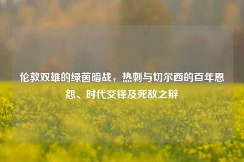 伦敦双雄的绿茵暗战，热刺与切尔西的百年恩怨、时代交锋及死敌之辩