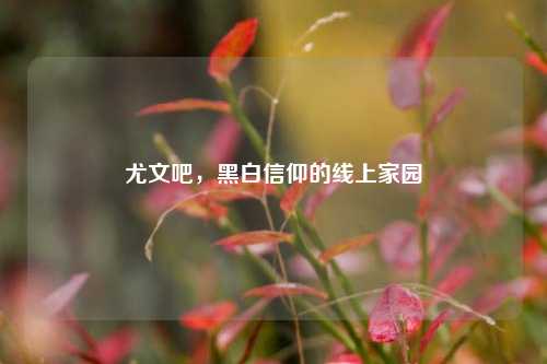 尤文吧，黑白信仰的线上家园