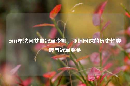 2011年法网女单冠军李娜，亚洲网球的历史性突破与冠军奖金