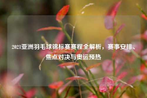 2021亚洲羽毛球锦标赛赛程全解析，赛事安排、焦点对决与奥运预热