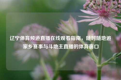 辽宁体育频道直播在线观看指南，随时随地追家乡赛事与斗地主直播的体育窗口