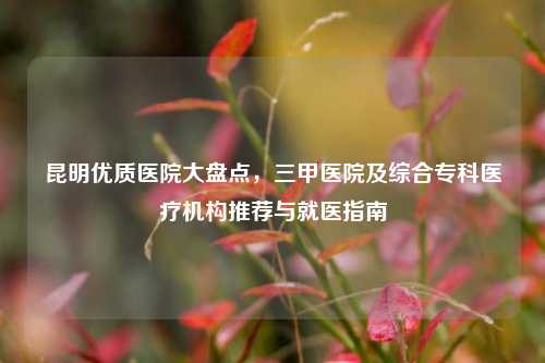 昆明优质医院大盘点，三甲医院及综合专科医疗机构推荐与就医指南