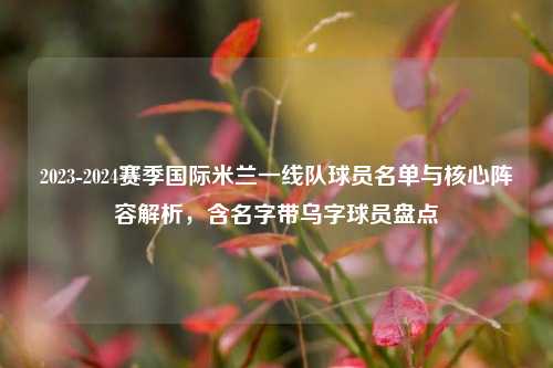 2023-2024赛季国际米兰一线队球员名单与核心阵容解析，含名字带乌字球员盘点
