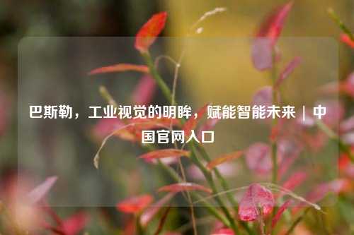 巴斯勒，工业视觉的明眸，赋能智能未来 | 中国官网入口