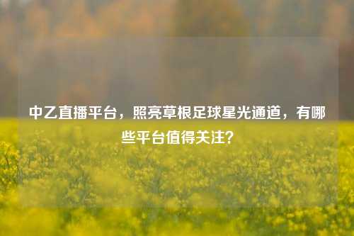中乙直播平台，照亮草根足球星光通道，有哪些平台值得关注？