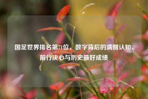 国足世界排名第71位，数字背后的清醒认知、前行决心与历史更好成绩