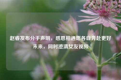 赵睿发布分手声明，感恩相遇愿各自奔赴更好未来，同时澄清女友视频