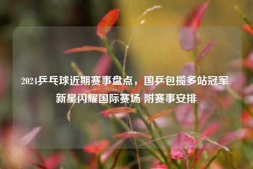 2024乒乓球近期赛事盘点，国乒包揽多站冠军 新星闪耀国际赛场 附赛事安排