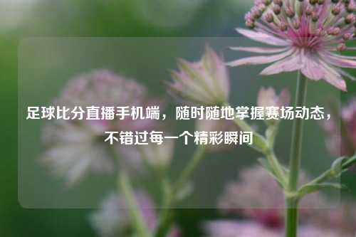 足球比分直播手机端，随时随地掌握赛场动态，不错过每一个精彩瞬间