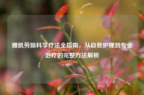 腰肌劳损科学疗法全指南，从自我护理到专业治疗的完整     解析