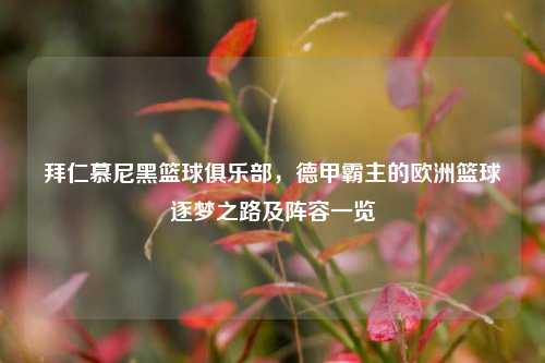 拜仁慕尼黑篮球俱乐部，德甲霸主的欧洲篮球逐梦之路及阵容一览