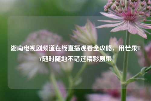 湖南电视剧频道在线直播观看全攻略，用芒果TV随时随地不错过精彩剧集