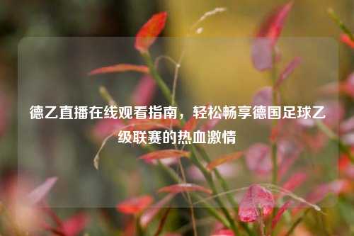 德乙直播在线观看指南，轻松畅享德国足球乙级联赛的热血     