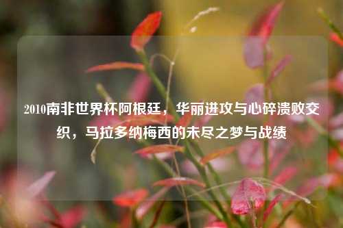 2010南非世界杯阿根廷，华丽进攻与心碎溃败交织，马拉多纳梅西的未尽之梦与战绩