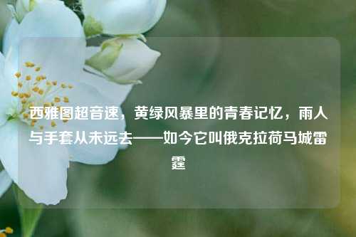 西雅图超音速，黄绿风暴里的青春记忆，雨人与手套从未远去——如今它叫俄克拉荷马城雷霆