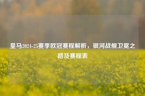 皇马2024-25赛季欧冠赛程解析，银河战舰卫冕之路及赛程表