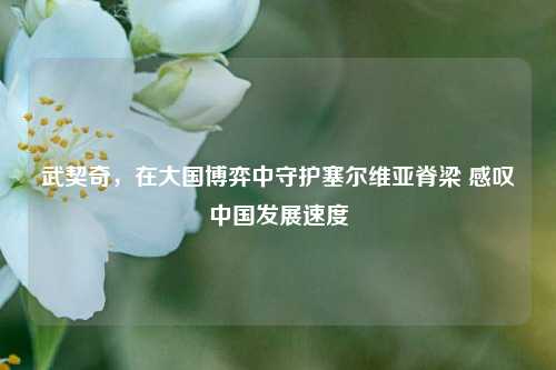 武契奇，在大国博弈中守护塞尔维亚脊梁 感叹中国发展速度