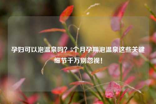 孕妇可以泡温泉吗？5个月孕期泡温泉这些关键细节千万别忽视！