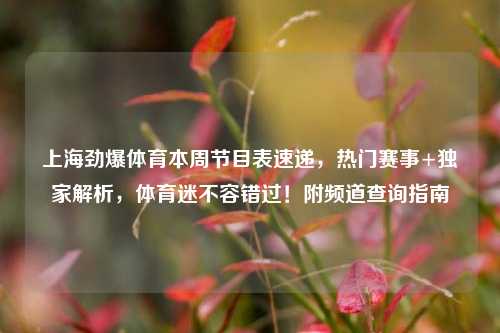 上海劲爆体育本周节目表速递，热门赛事+独家解析，体育迷不容错过！附频道查询指南
