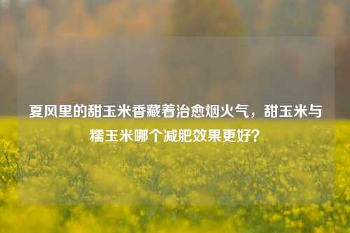 夏风里的甜玉米香藏着治愈烟火气，甜玉米与糯玉米哪个减肥效果更好？